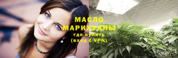 гидра Елабуга