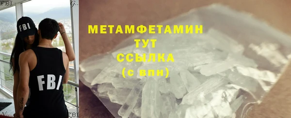 гидра Елабуга