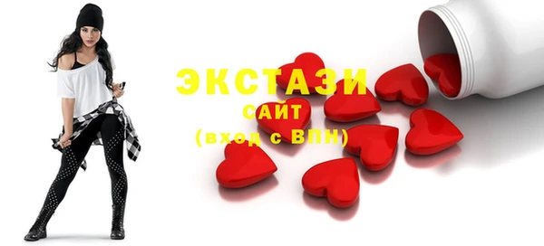 гидра Елабуга
