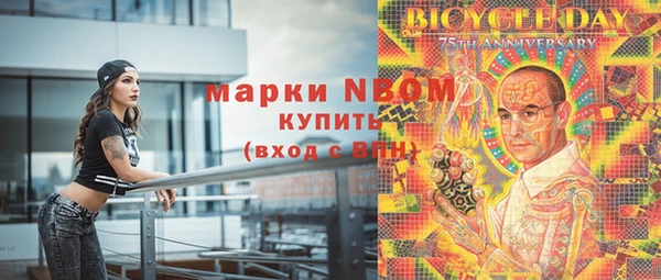 гидра Елабуга