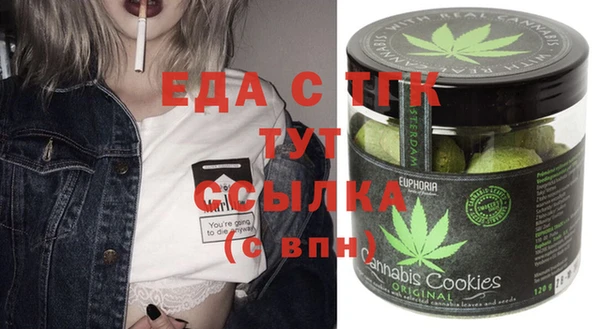 гидра Елабуга
