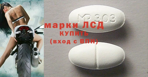 гидра Елабуга